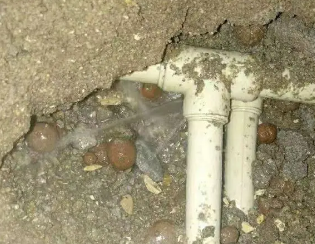 仁寿卫生间测漏