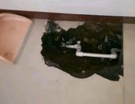 仁寿卫生间测漏水多少钱